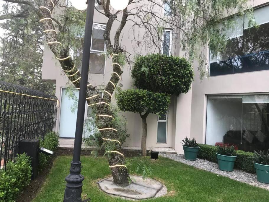 Hermoso Departamento En Bosques De Las Lomas Dos Habitaciones 멕시코 시 외부 사진