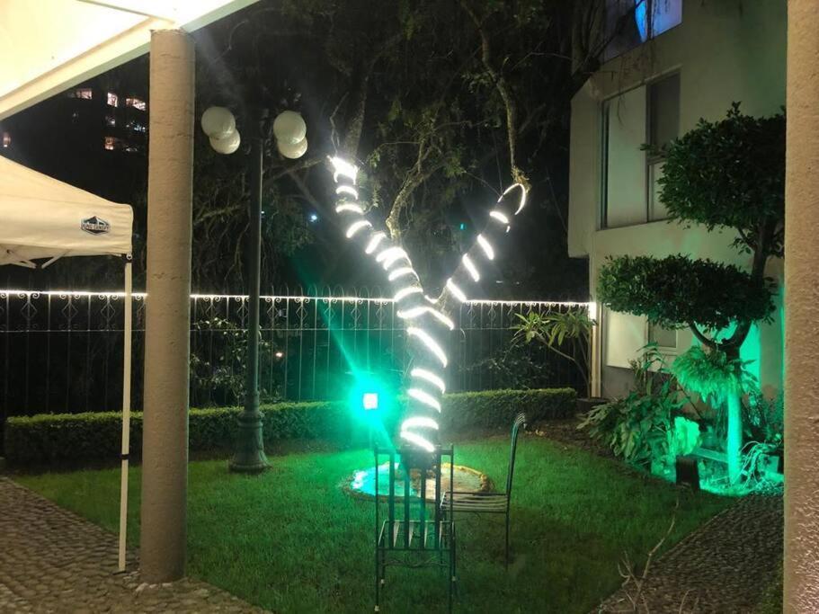 Hermoso Departamento En Bosques De Las Lomas Dos Habitaciones 멕시코 시 외부 사진
